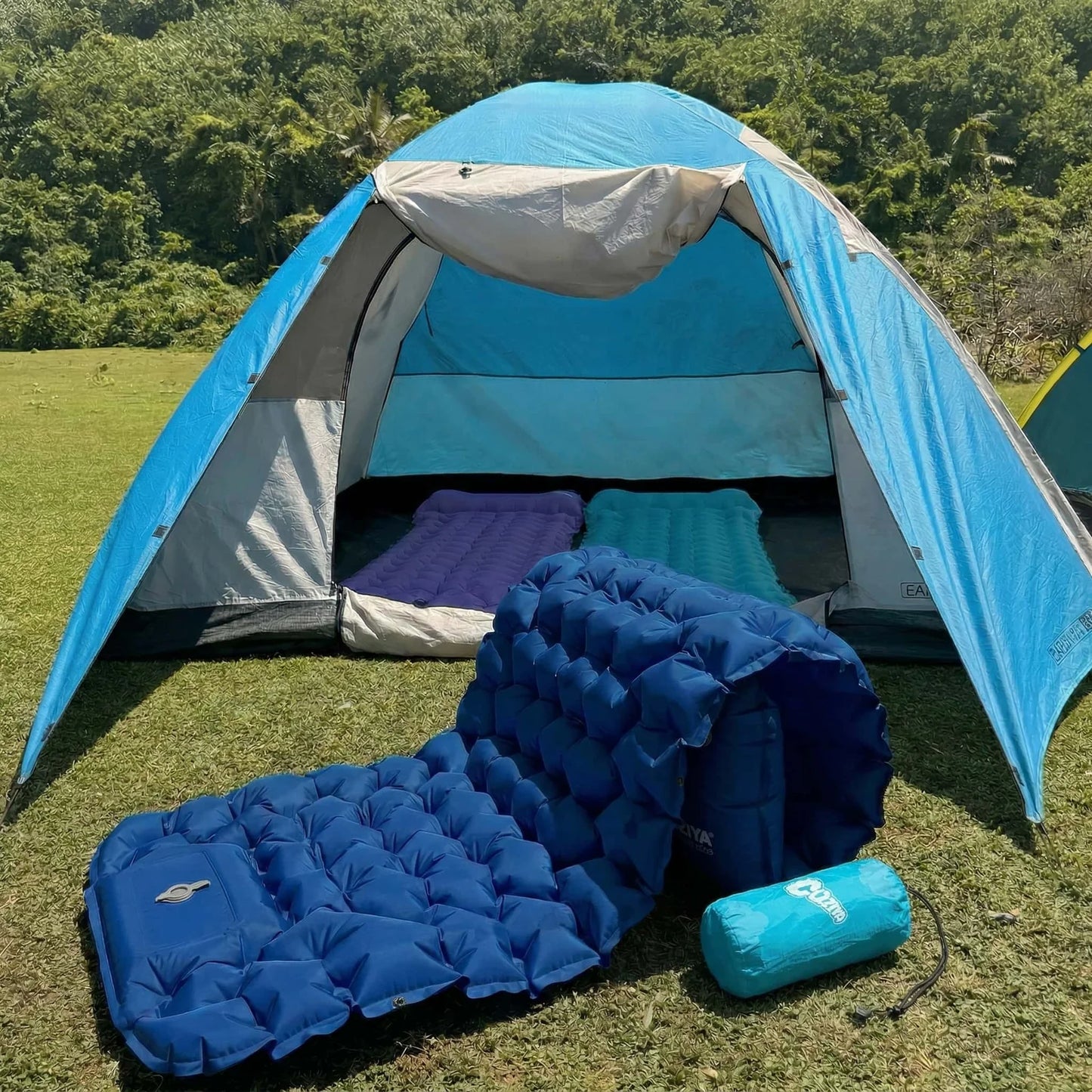 Campalian Campingo